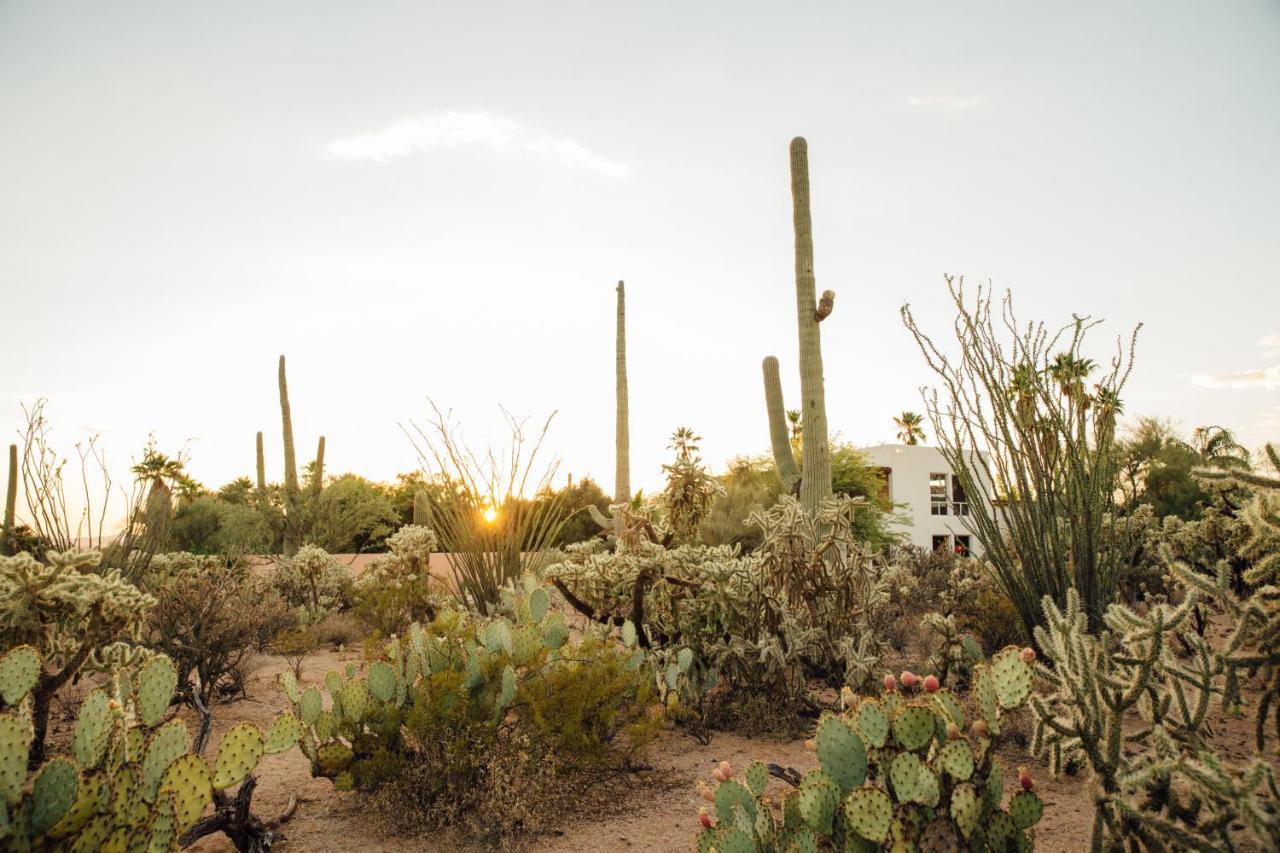 The Jth Tucson Hotel Avra Exterior foto