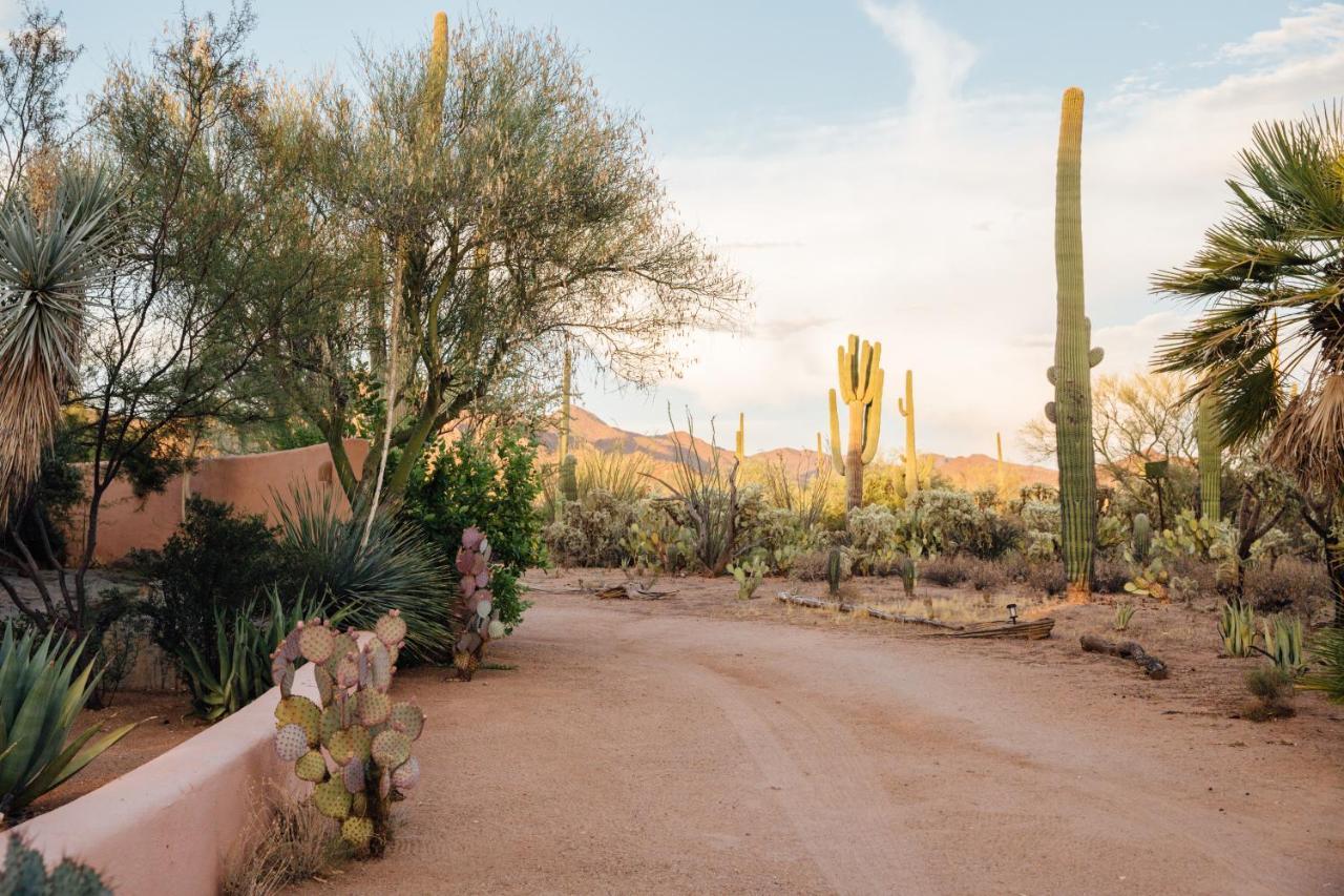 The Jth Tucson Hotel Avra Exterior foto